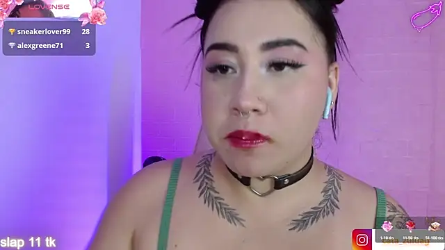 _hooly webcam