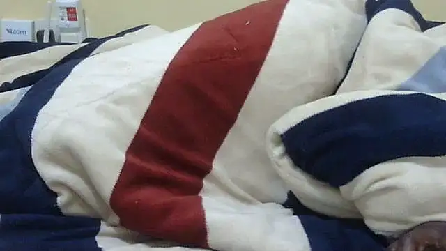 Scate webcam