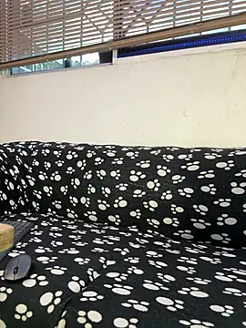 cody_fox10 webcam