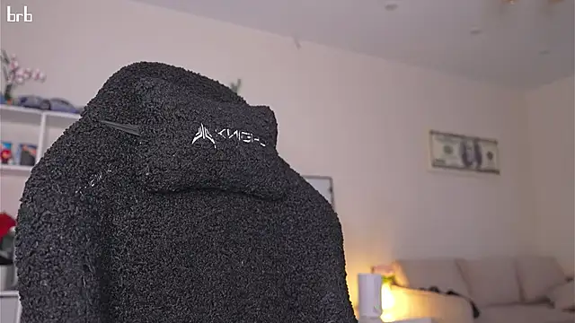 Appr0ved_ webcam