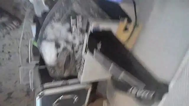 Makethatpussypurr webcam
