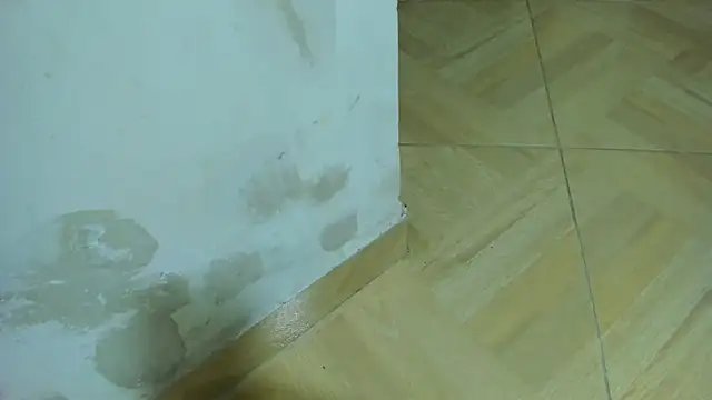 Little_Jenni webcam