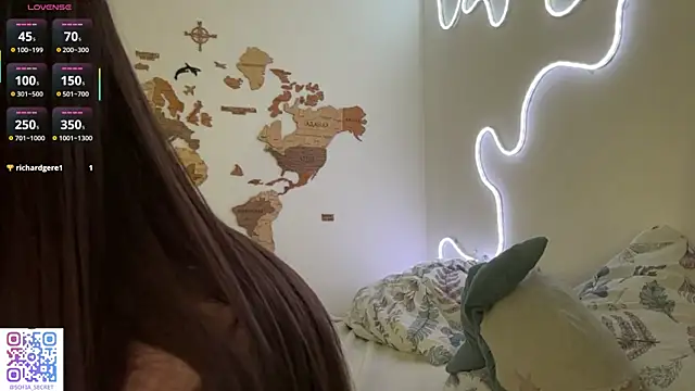_KARANDASH_ webcam
