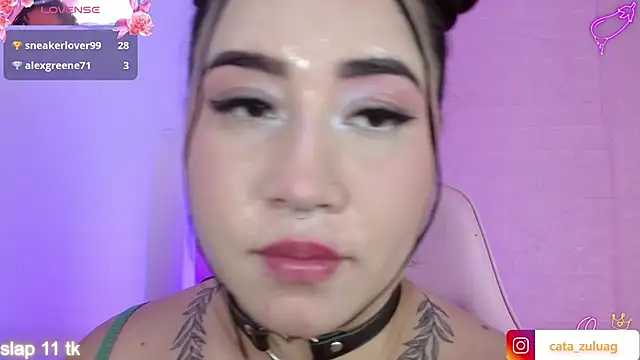 _hooly webcam