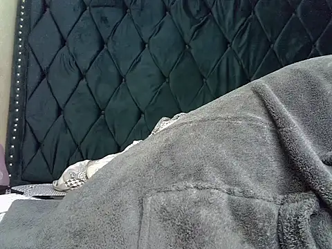 pocupines webcam