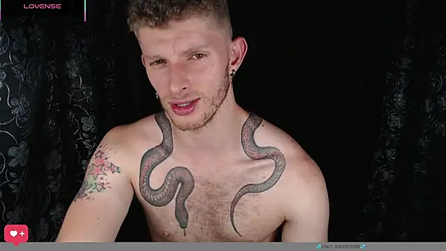 andrewxbi webcam