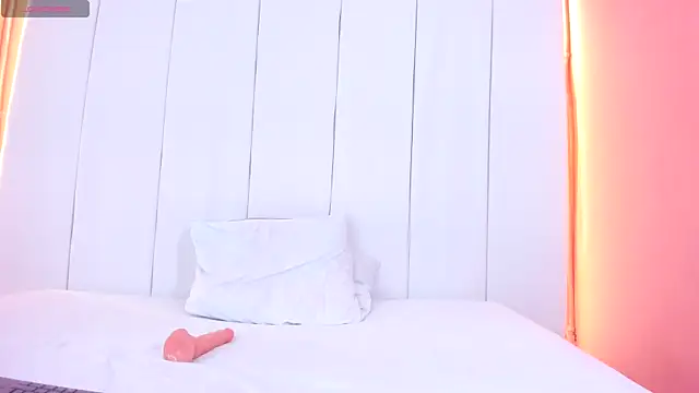 Sunny_OS webcam
