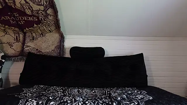 -khayaparker webcam
