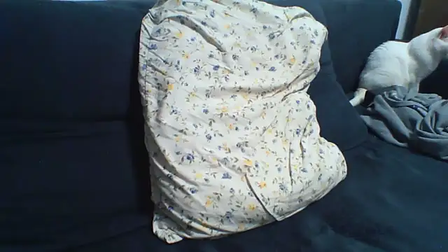 KaelNox webcam