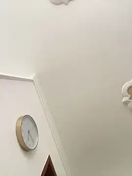 SCARLET-20 webcam