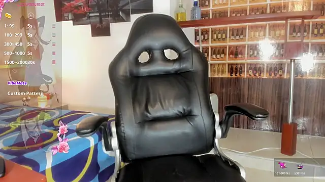 _Shirley_ webcam