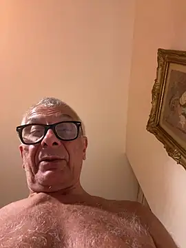 4n4l1zz4m1 webcam
