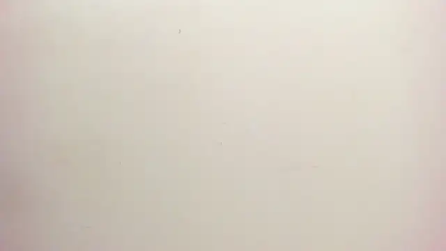 ZANE_EVANS webcam
