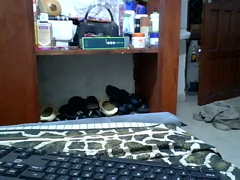 Pretty-lavine webcam