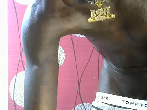 Zady5 webcam
