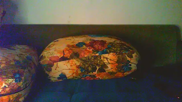 Vbestshow webcam