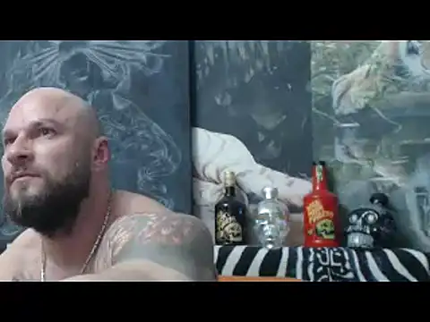 viking_30 webcam