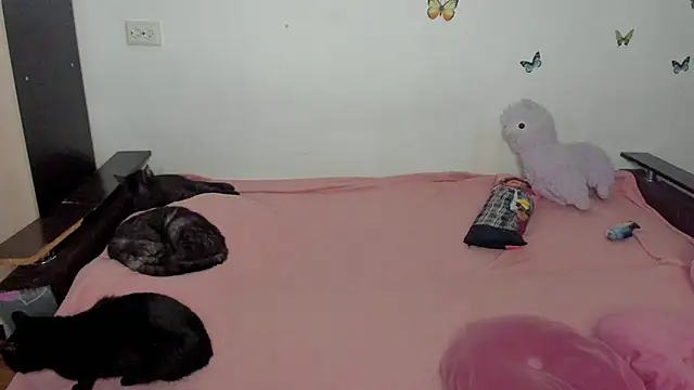 NataliEvans webcam