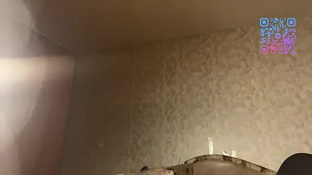 SageFennell webcam