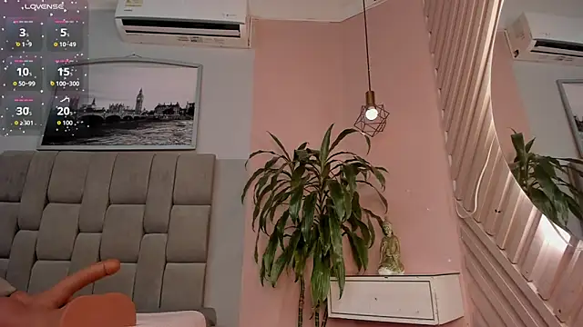 dyvis_22 webcam