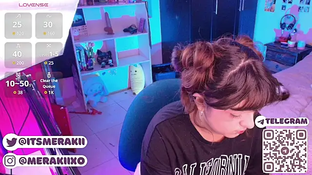 meraki_fraise webcam