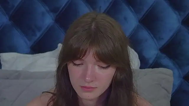SophiaProve webcam