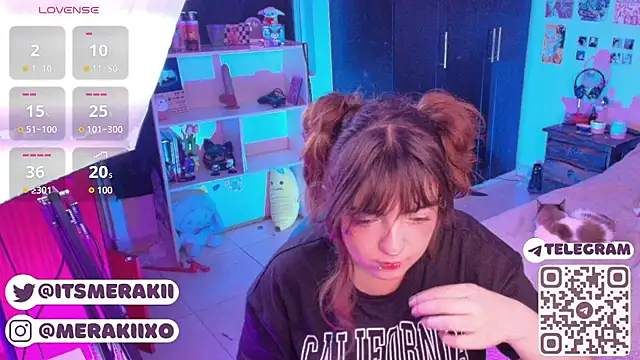 meraki_fraise webcam