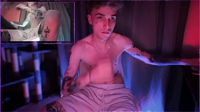 davesinner webcam