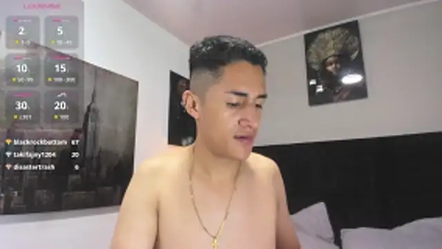 _Alan_Walker_1 webcam