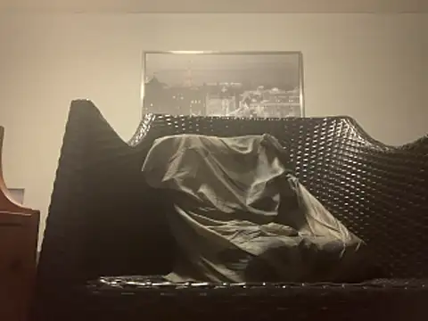 Tyyson03 webcam