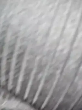 katty_42 webcam