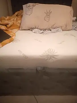 InferredPloce webcam