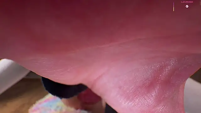 LinaLive webcam