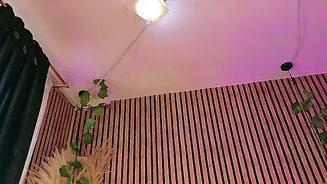 Hiddenhotcake webcam