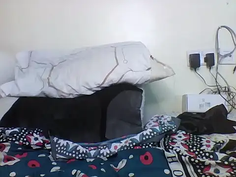 plittle2 webcam