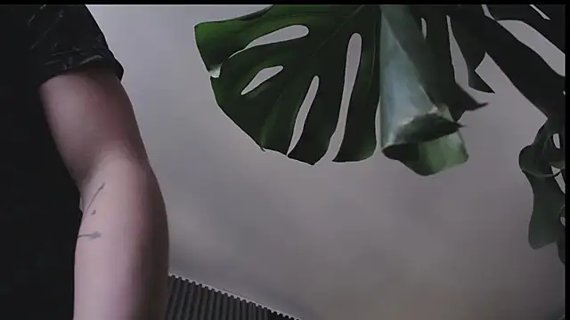 Santiago_kiler webcam