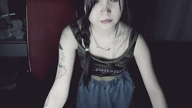 Elainebeness webcam