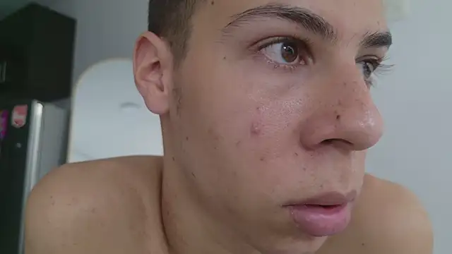 grey___27 webcam