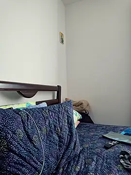 IrisBound webcam