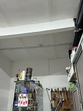 Paul22cm- webcam