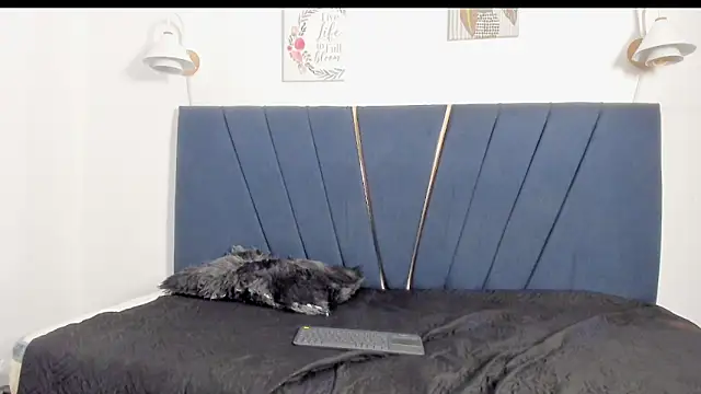 An_fox23 webcam