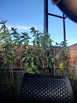 Cataleya_16 webcam