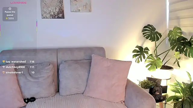 AlleCollins webcam