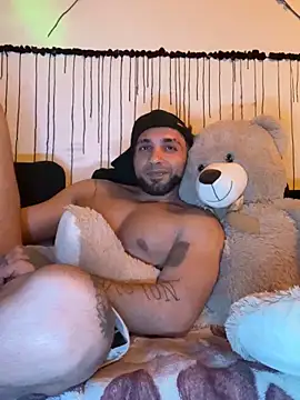 Mohdollmen webcam
