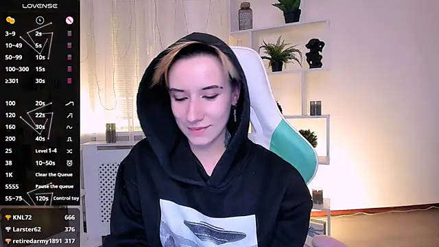 _Rein_ramm webcam