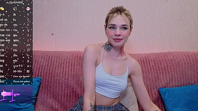 StellaGround webcam