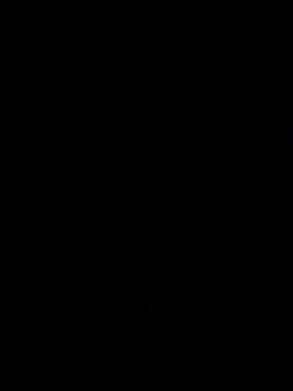 Twistermc11 webcam