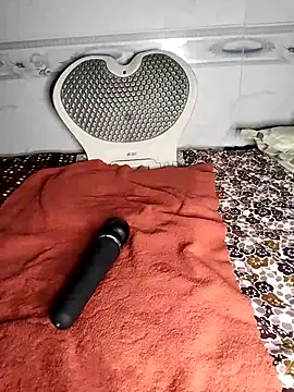 Zu_naa webcam