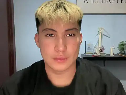 Kingdirtyfog webcam