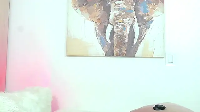 ParisRoux webcam